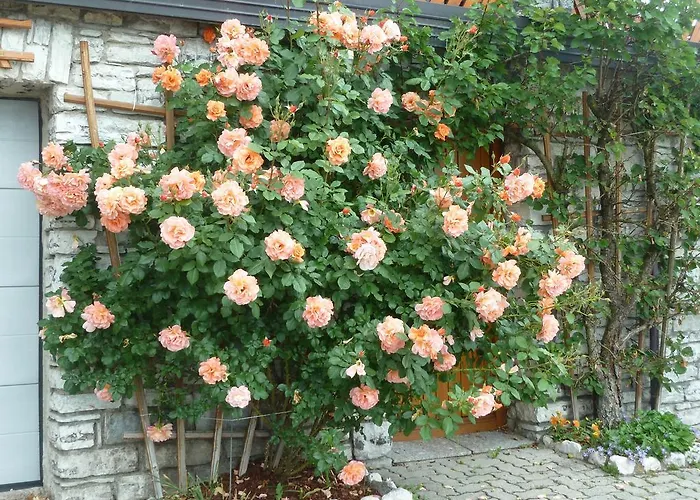 Gaestehaus Sonnenhang *