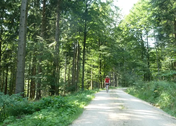 Gaestehaus Sonnenhang Διαμέρισμα *